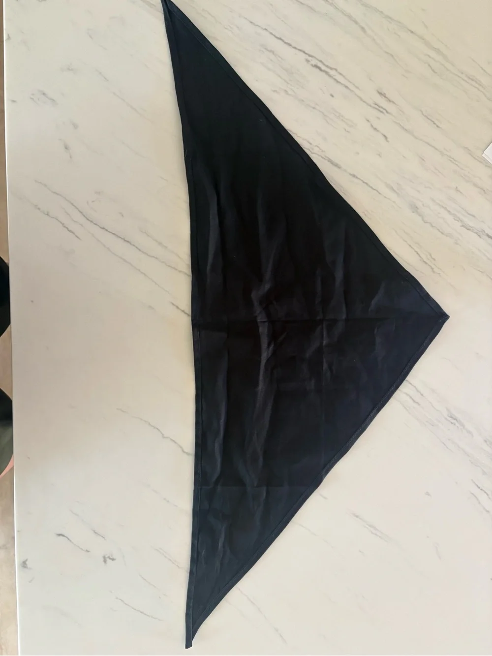 Black Dog Bandana/Bib - 'I Thought I Was The Baby'